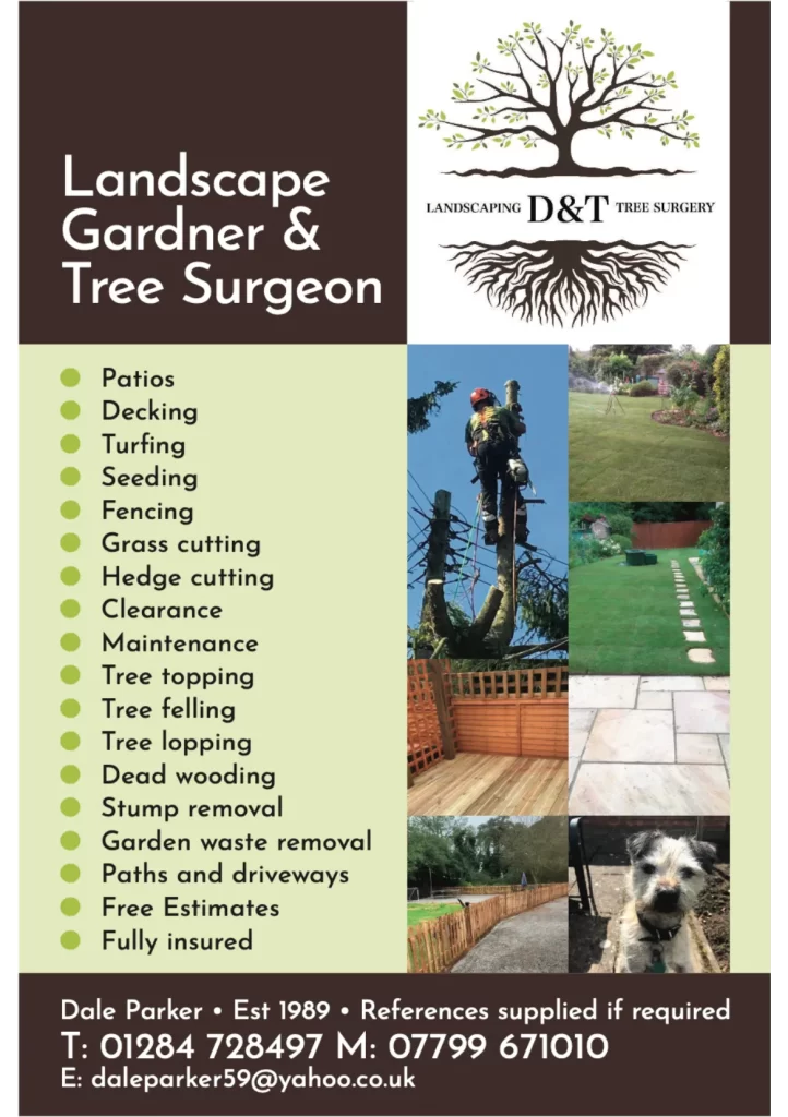 D&T Landscaping