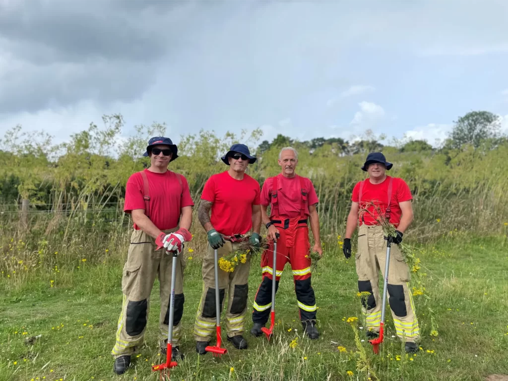 Norfolk fire and rescue Ragwort