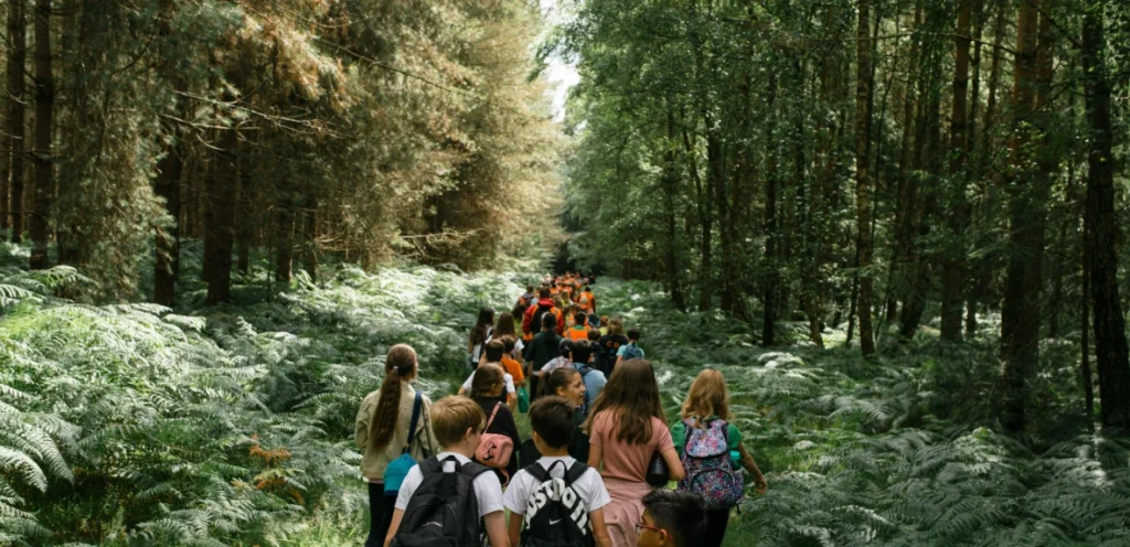 A group of children, wearing backpacks and colorful clothing, walk in a long line through a lush green forest filled with ferns. Sunlight filters through the tall trees as they follow a well-trodden path, some of them wearing matching orange tops, suggesting a school or group outing.
