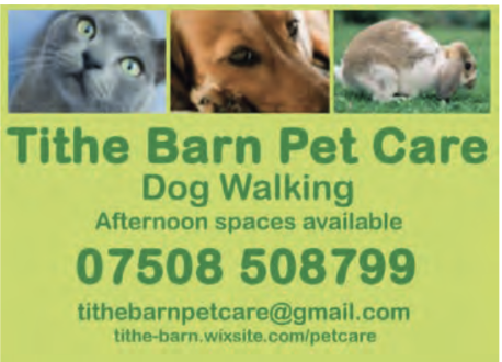 A green advertisement for Tithe Barn Pet Care featuring three images at the top: a grey cat with green eyes, a brown dog, and a rabbit in the grass. The business offers dog walking services with afternoon spaces available. The contact number, displayed in bold, is 07508 508799. Additional contact details include an email address (tithebarnpetcare@gmail.com) and a website (tithe-barn.wixsite.com/petcare)