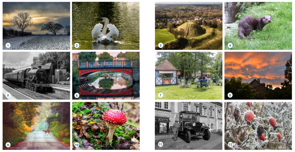 A collage of 12 photos showcasing nature and local scenes submitted for Thetford's 2024 calendar. Includes frosty fields, a swan on the river, Castle Hill, a steam train, a brightly coloured bridge, a group at a riverside kiosk, a sunset, woodland paths with deer, mushrooms, historic vehicles, and frost-covered rosehips.