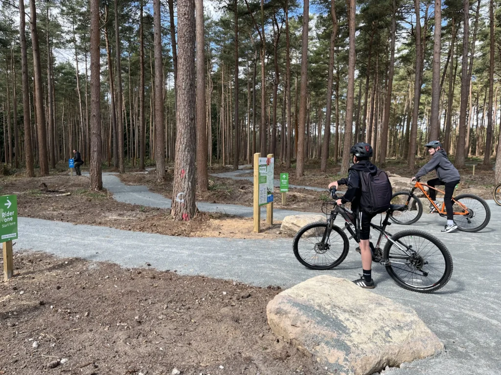 Cyclists on mountain bikes navigate a winding path through a managed pine forest. Multiple trail signs mark the routes, including one reading “Rider one – Start here.” The forest floor is cleared, and the new gravel trail cuts sharply between the trees.