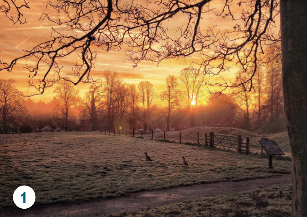 A frosty sunrise over Thetford Castle Park, with bare tree branches framing a golden winter sky and frost covering the grass as two birds forage near a footpath.