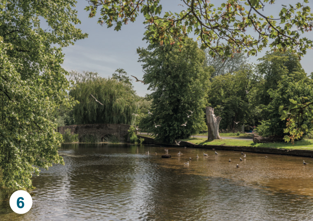 The River Thet at Thetford, looking across calm water towards the historic bridge, with ducks and gulls on the river and lush green trees lining the banks.