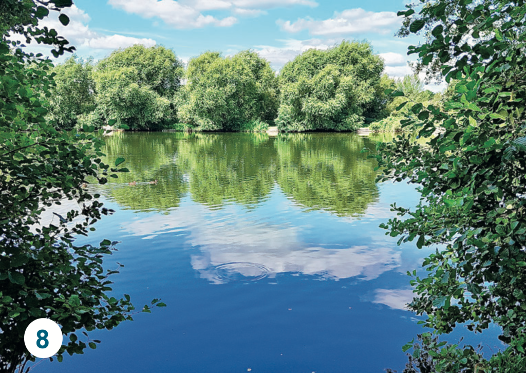 A tranquil lake surrounded by trees, with green foliage reflected in still water beneath a blue sky dotted with white clouds.