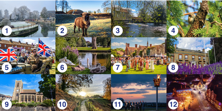 A compilation of the finalists from the Thetford Calendar Competition: 1. January A crisp winter morning along the riverside in Thetford. The ground and trees are coated in frost, giving everything a silvery-white glow. A red and black footbridge stands out against the pale landscape, and the stillness of the river mirrors the scene. The town buildings and footpath appear quiet, wrapped in the cold calm of early January. 2. February A dark-fleeced sheep stands alert in a frosty field at Castle Hill. Behind it, the historic earthworks rise gently with a long wooden staircase leading to the summit. The early morning sun casts a warm golden light, picking up on the sheep’s texture and highlighting the still-sleepy landscape of late winter. 3. March Early spring comes to life by the riverside in Thetford. A mill building with a red-tiled roof stands by the water, framed by fresh green leaves just beginning to bud. The river flows gently beneath low branches, catching glints of light from the sky above. It’s a peaceful, awakening moment marking the change of seasons. 4. April A tiny bird perches on a lichen-covered branch, nestled amongst bright green pine needles. The bird looks directly at the camera, framed by soft, dappled sunlight filtering through the trees. It’s a quiet, close-up glimpse of nature in spring, full of curiosity and life. 5. May A lively VE Day celebration unfolds on a sunny village green. A man dressed in vintage military uniform sits in a classic army jeep alongside a smiling woman wearing a 1940s headscarf. Large Union Jack flags fly from the vehicle, while food trucks and festive crowds bustle in the background. It’s a cheerful, community-packed day honouring history and togetherness. 6. June A family of swans relax on the grassy riverbank in the sunshine. Two adult swans are joined by fluffy grey cygnets resting by the water’s edge, surrounded by tall green reeds and purple wildflowers. The gentle water reflects the scene, and leafy trees create a calm, summery backdrop. 7. July The green of Thetford Grammar School comes alive with colour and community during a cultural celebration. Women in bright traditional dress dance together on the lawn, while crowds gather around to watch and enjoy. The old priory ruins and red-brick chimneys form a historic backdrop beneath a blue summer sky. 8. August Thetford Guildhall stands proudly under a sky dotted with fluffy clouds. The historic building is framed by a vibrant foreground of blooming lavender and hanging flower baskets. The red-brick window accents and grand entrance give the scene a warm, summery feel—bright, floral, and quintessentially August. 9. September St. Cuthbert’s Church glows under a crisp September sky, its flint walls and tall clock tower basking in the morning sun. Neatly kept gardens bloom in front, and the street beside it is quiet. It’s a classic snapshot of Thetford’s heritage, captured in the calm of early autumn. 10. October Golden leaves line a winding path through Castle Park as the sun rises in the distance. Trees are turning amber and brown, and the path is flanked by banks of fallen leaves and low fences. The morning mist glows softly in the light, marking the shift into autumn in this tranquil woodland scene. 11. November A beacon blazes against the twilight sky during a remembrance event. A small group of people, including a brass player and veterans, stand in front of the flame, some holding Union Jacks and musical instruments. The sky glows with the last light of day, turning pink and blue behind the symbolic fire. 12. December A festive aerial view of Thetford Market Place lit up for Christmas. Twinkling fairy lights wrap around trees and buildings, and shopfronts glow warmly. The church and streets below are peaceful, with just a few cars parked as the town settles into a cosy December night.