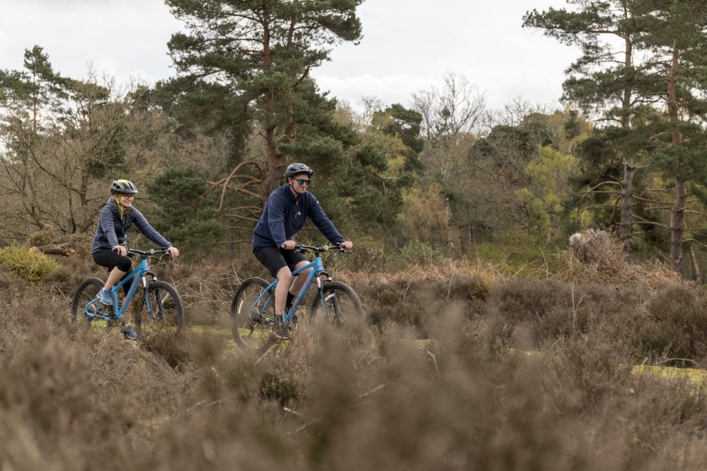 Two cyclists riding mountain bikes along a grassy path in Thetford Forest. They wear helmets and active gear, with pine trees and heathland vegetation in the background.
