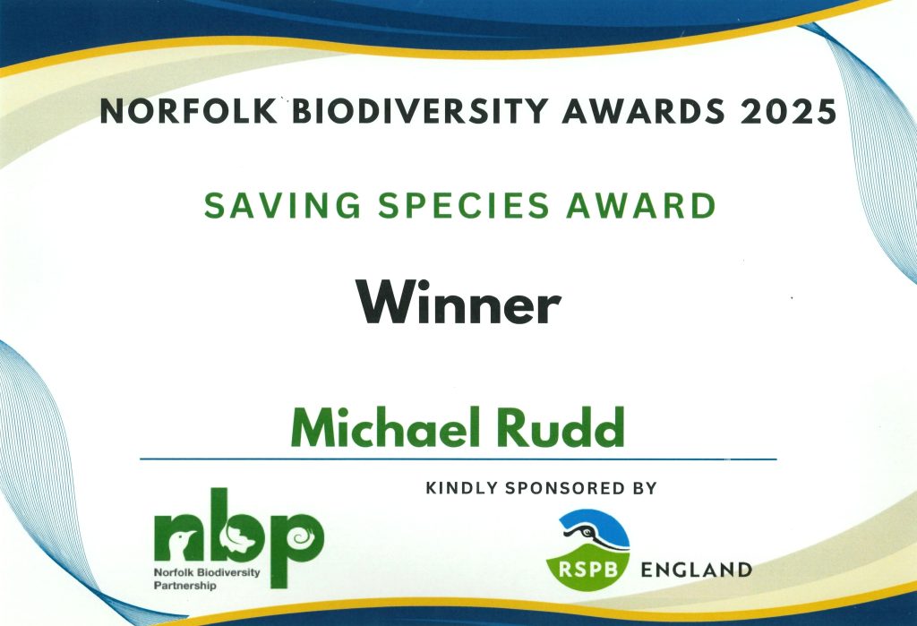 A close-up image of a printed certificate. It reads: “Norfolk Biodiversity Awards 2025 – Saving Species Award – Winner – Michael Rudd.” The certificate includes the logos for the Norfolk Biodiversity Partnership and RSPB England, which sponsored the award.