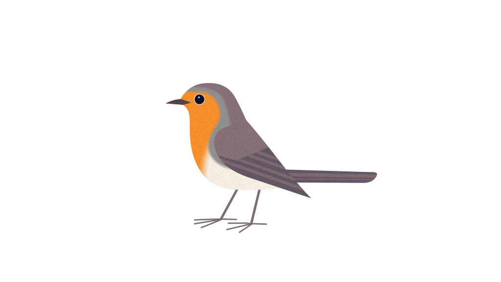 Stylised illustration of a robin facing left, with an orange breast, grey-brown wings and head, and a pale underside