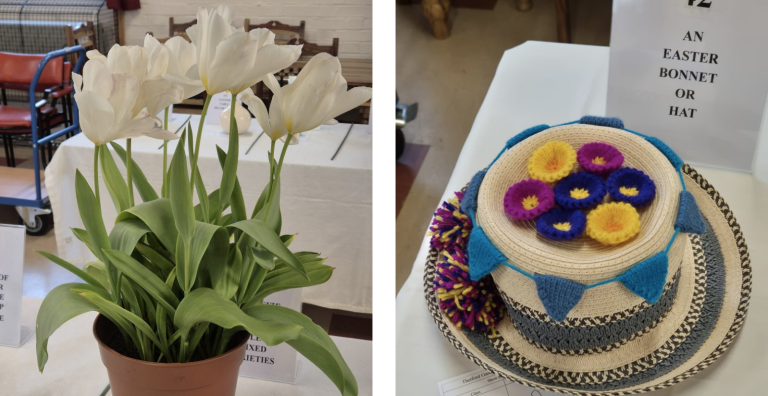 Image 1 (tulips): A pot of tall white tulips with green leaves sits on a table at an indoor show, with chairs and display signs visible in the background. Image 2 (Easter bonnet): A wide-brimmed straw hat decorated with colourful knitted flowers and bunting is displayed on a table, with a sign behind reading “An Easter Bonnet or Hat” and a competition entry card marked “42” in front.